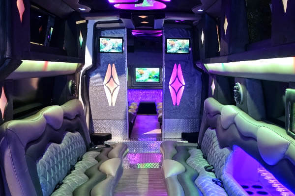 Tampa limousine services